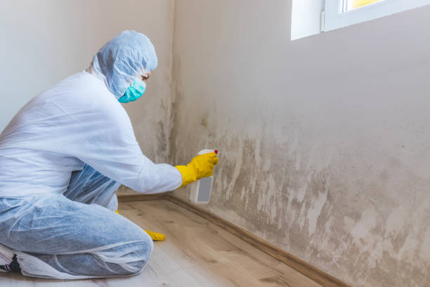 Bathroom Mold Removal assessment in Ocean Beach bathroom